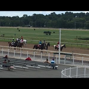 Meet your Posher, Janice